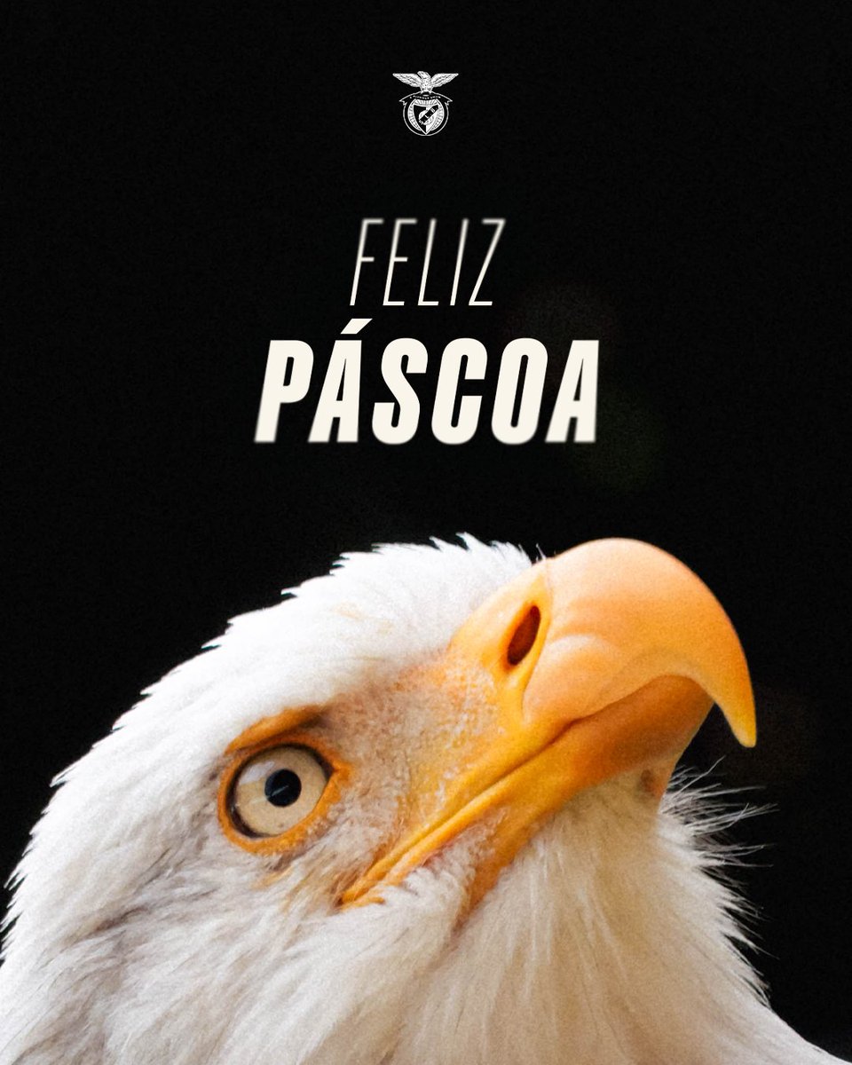 SL Benfica tweet media