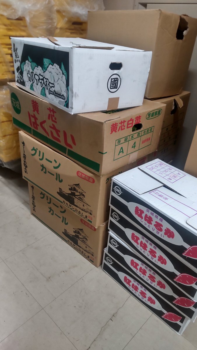 TokyoCFSpprtrs's tweet photo. 本日土曜日、豊洲市場からたくさんのレタス、シャインマスカット、いちごなど、大量の野菜果物を引き取らせていただきました。
久しぶりに作業部屋に山のようにダンボールが積まれ、仕分けして土曜日に食料を運ぶ各教会での傷みがある部分を取り除いて利用者さんにお渡しできるように整えました。 https://t.co/bga5PnYIWt