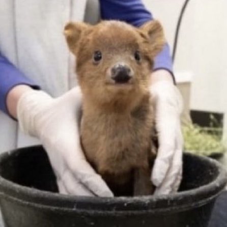 동슬기 tweet media