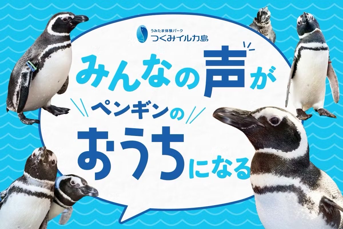 irukajima_staff's tweet photo. 【リターン品のご紹介】

『ペンギンの足跡Tシャツ』

ペンギンがTシャツの上をよちよち自由に歩いて、直接足跡をつけてくれます🐧✨
世界にひとつだけの特別なオリジナルTシャツです！

▼プロジェクトページはこちらから 
https://t.co/UIketD5WHG 

#つくみイルカ島リニューアル 
#大分観光 https://t.co/CONcAwiKd4
