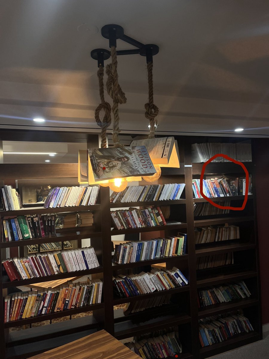 Sir Rottweiler 🐾 🇺🇸🏳️‍🌈 tweet media