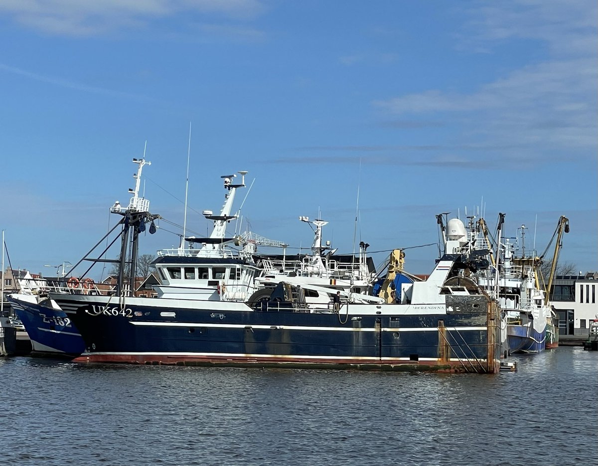 Jacob van Urk tweet media