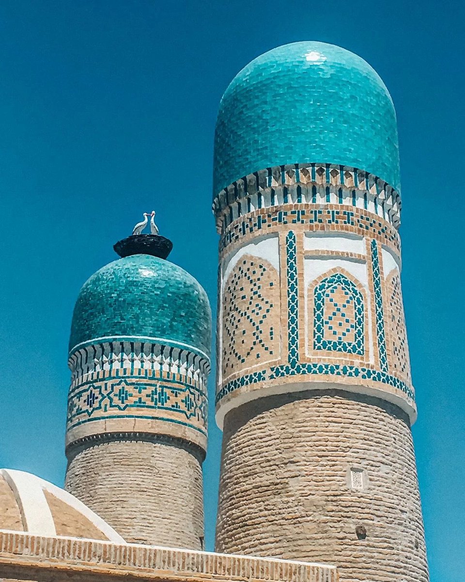 ❇️ تزكية المعرفة:
١- السجود لله ليس هو انطواء الجسد؛ بل انقياد القلب لهداية الله ووصاياه
(ولقد وصينا الذين أوتوا الكتاب من قبلكم وإياكم أن اتقوا الله)