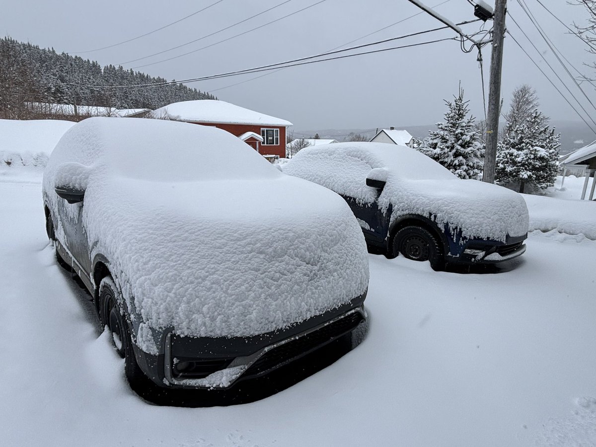 Michael Luedee tweet media