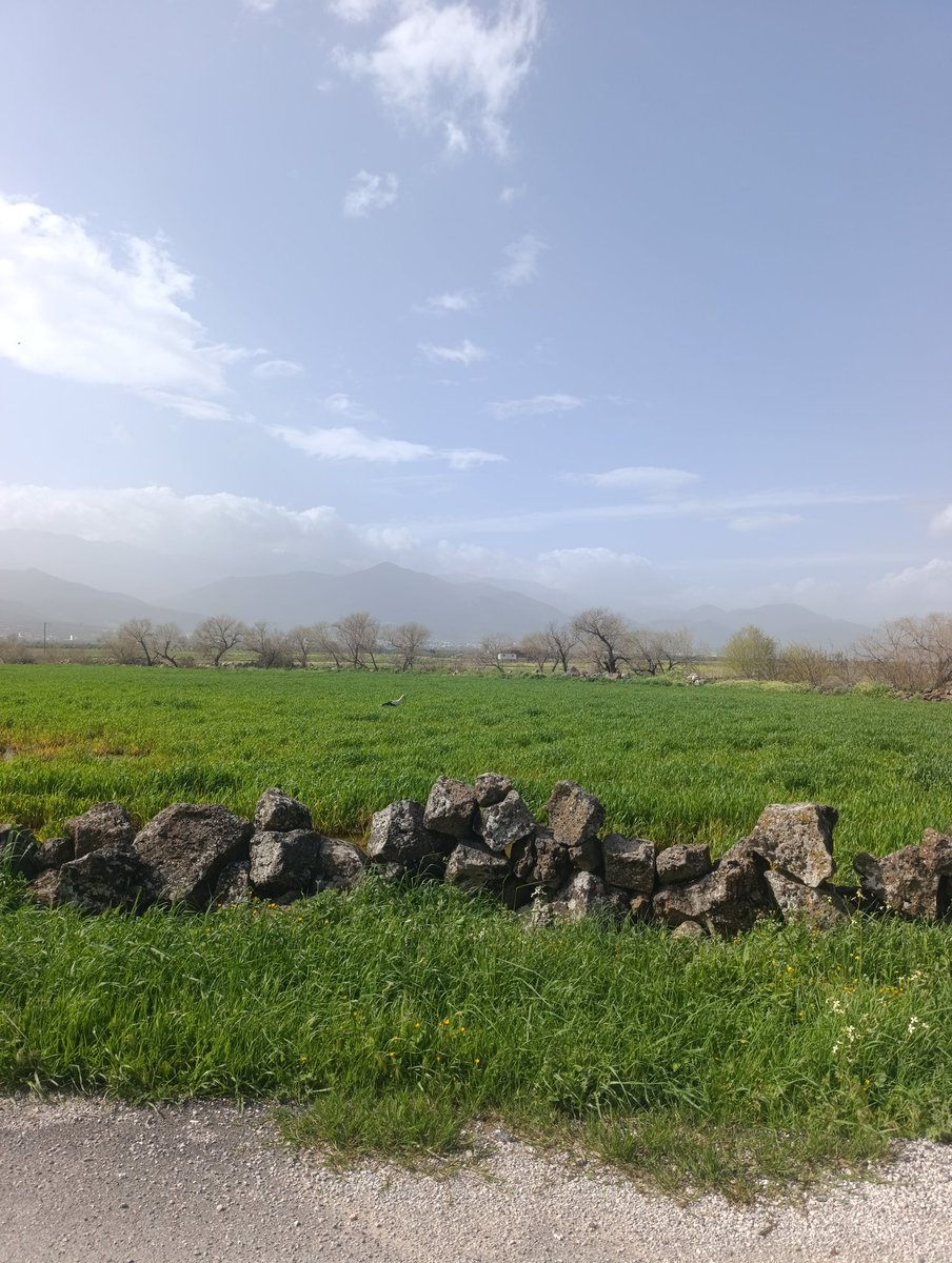 Mithat Bağrıyanık tweet media