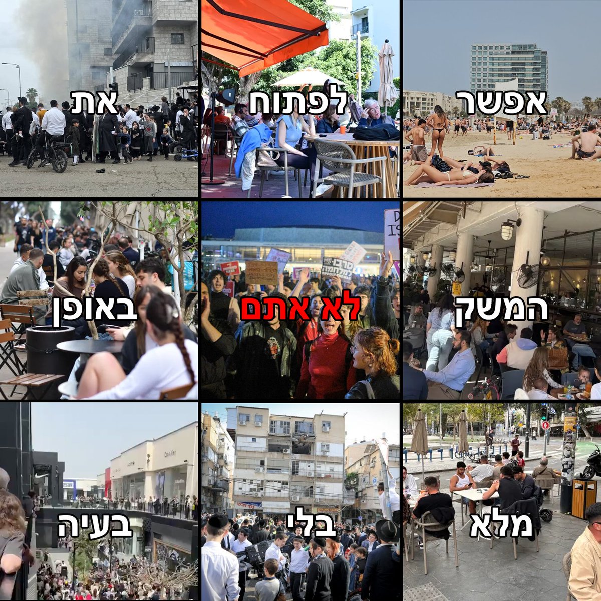 יהושפט החתול האנטיפת tweet media