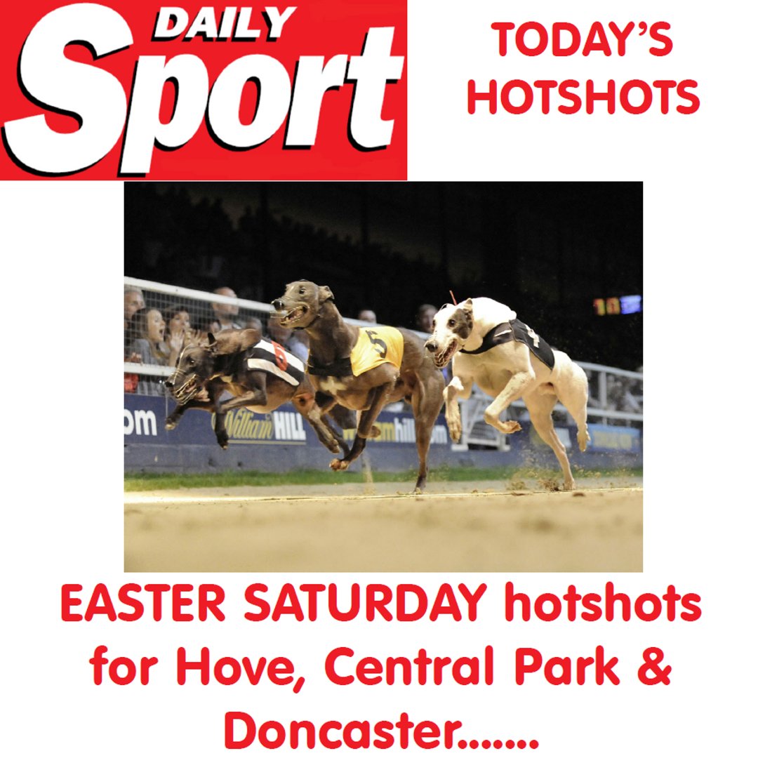 The Daily Sport tweet media