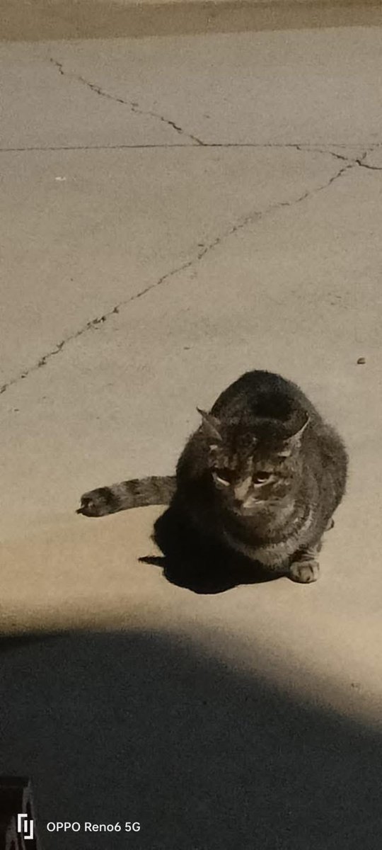 HuellasUrbanasSf tweet media