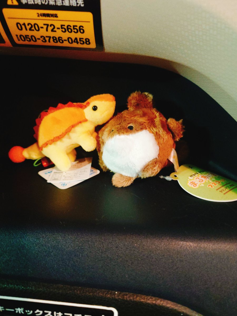ゆりすけあにまる 作家 ぬいぐるみ 狸 しば犬 狼 リス 【公式通販】