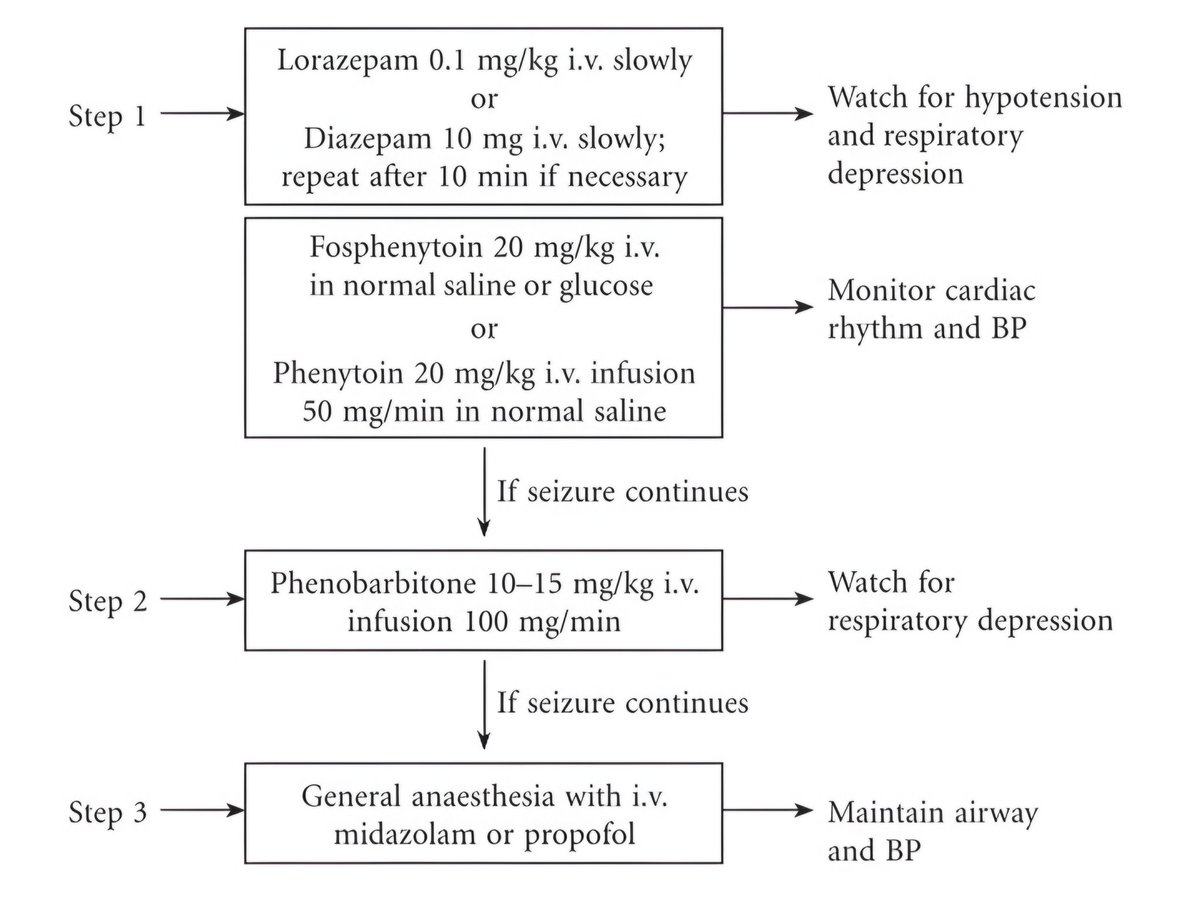 nervemed's tweet photo. Management of Status Epilepticus https://t.co/mjSgVUj4YU