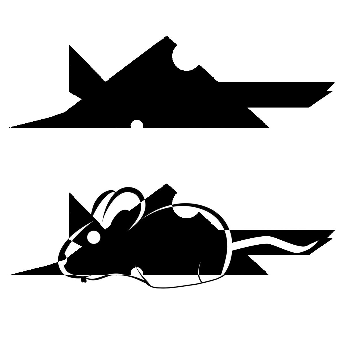 TokuDoc 🔴 220K + tweet media