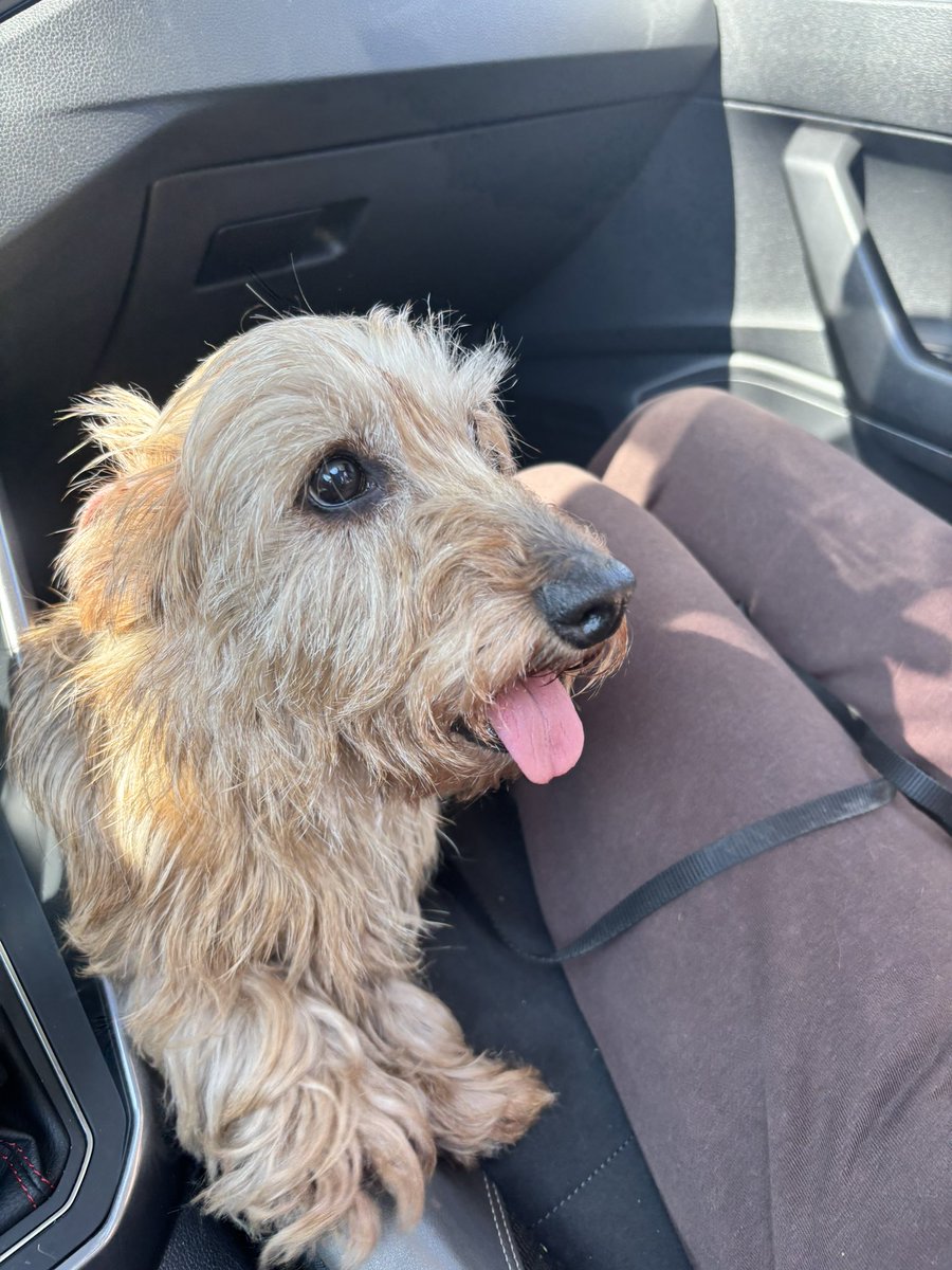 RE THEO PAOLO MALDINI tweet media