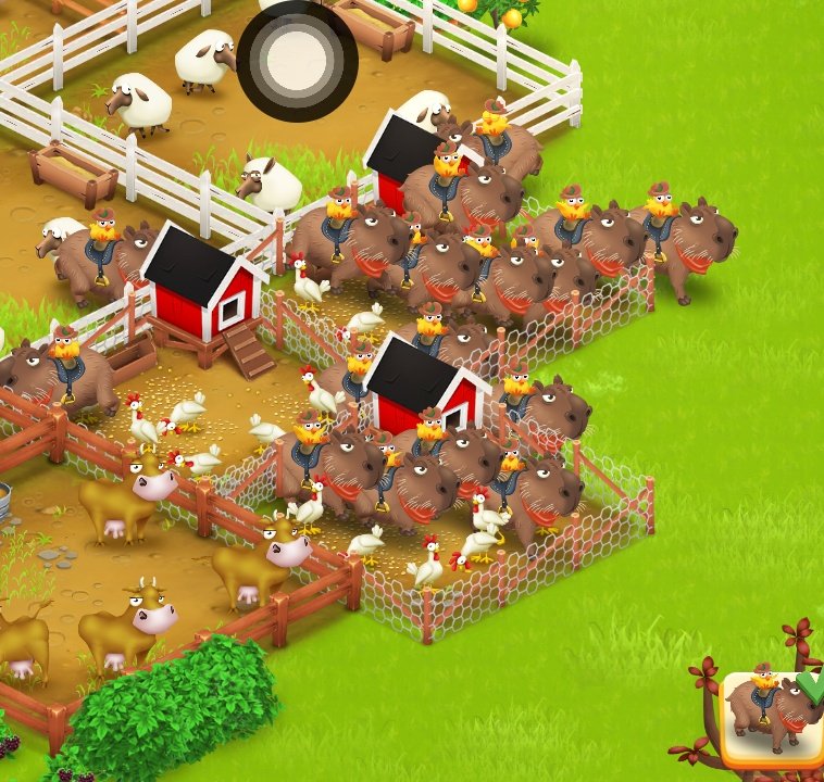 məowg! 🥢 tweet media