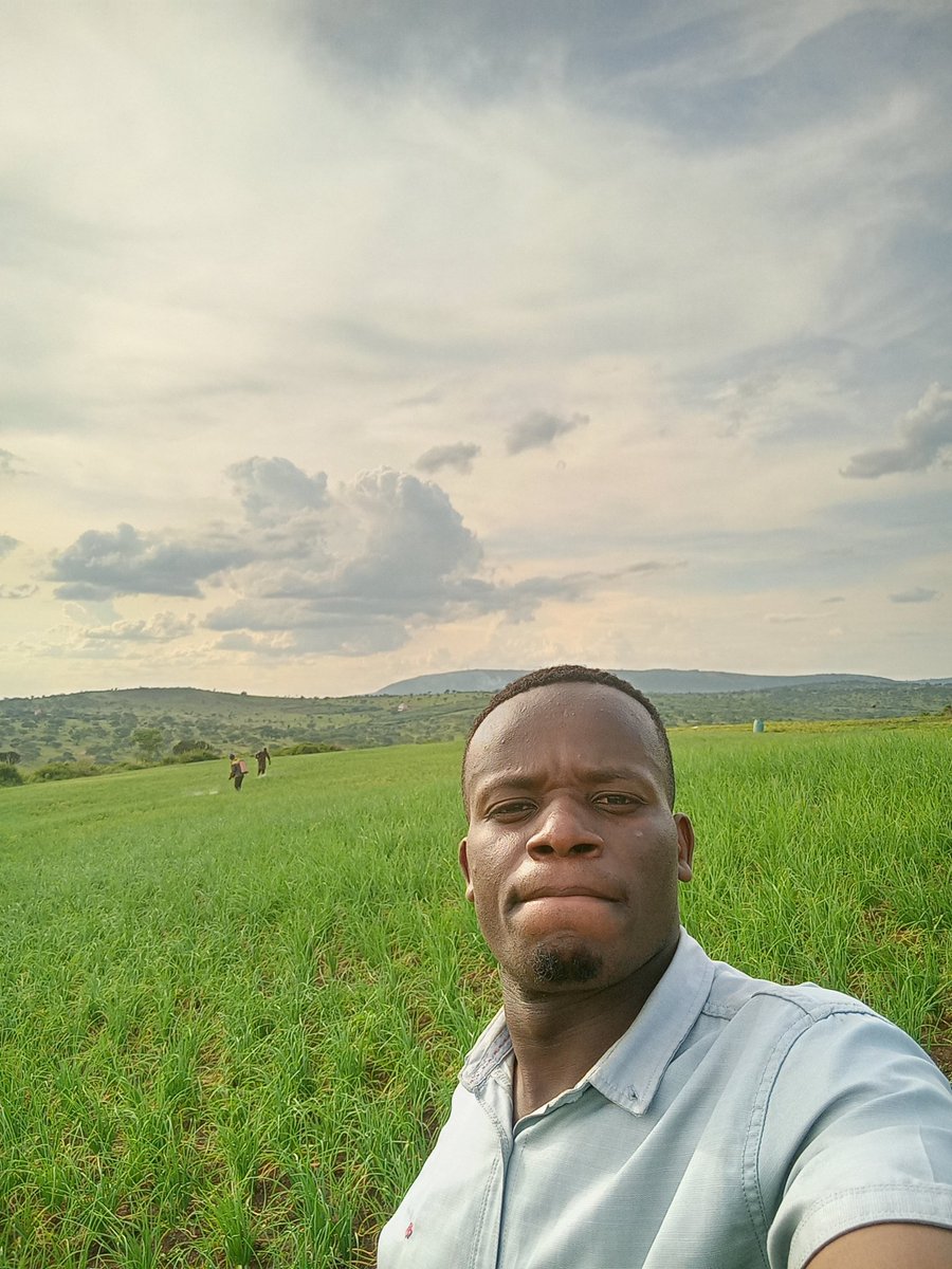 Arthur Kay (Kugumisiriza) tweet media