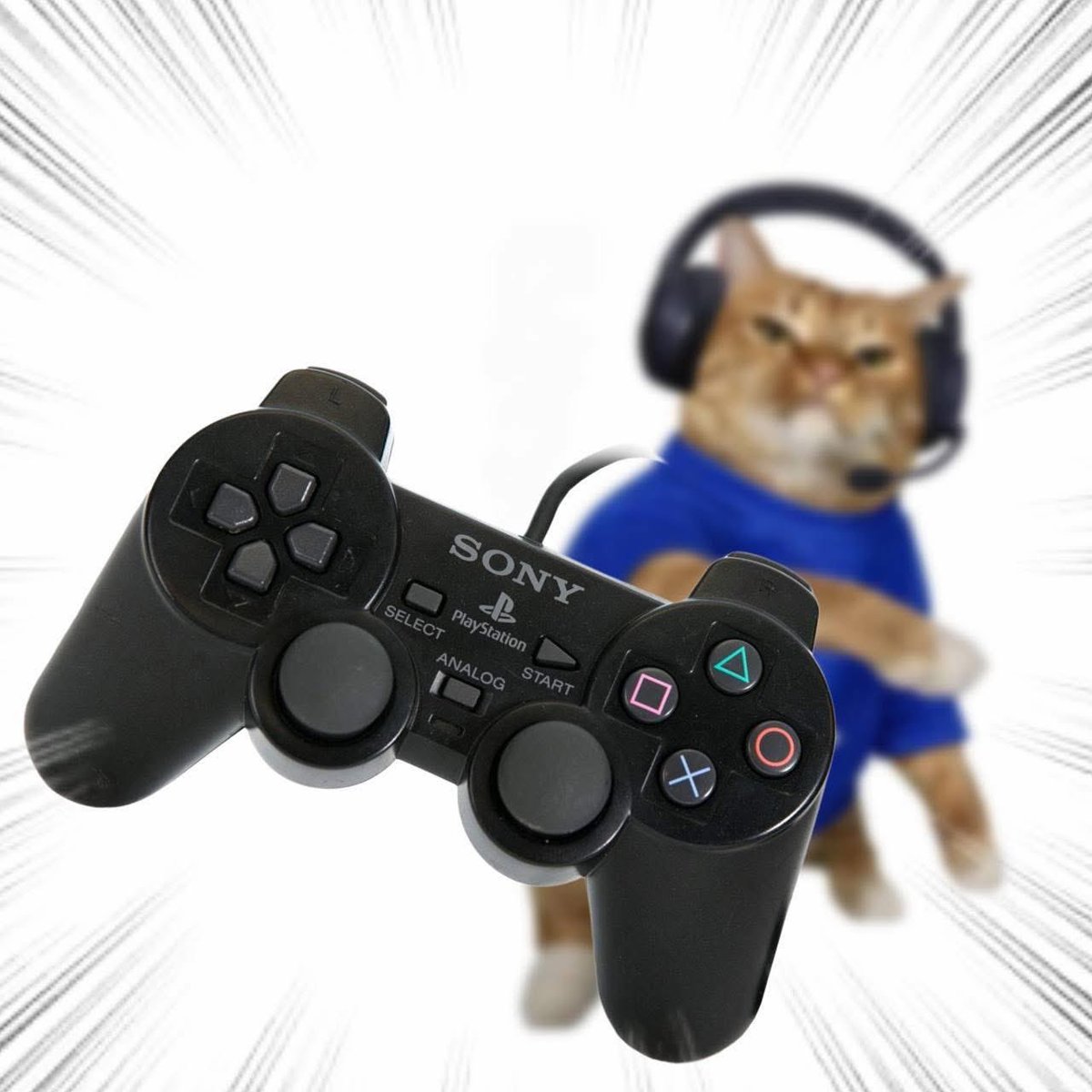 Throwing Things Daily tweet media