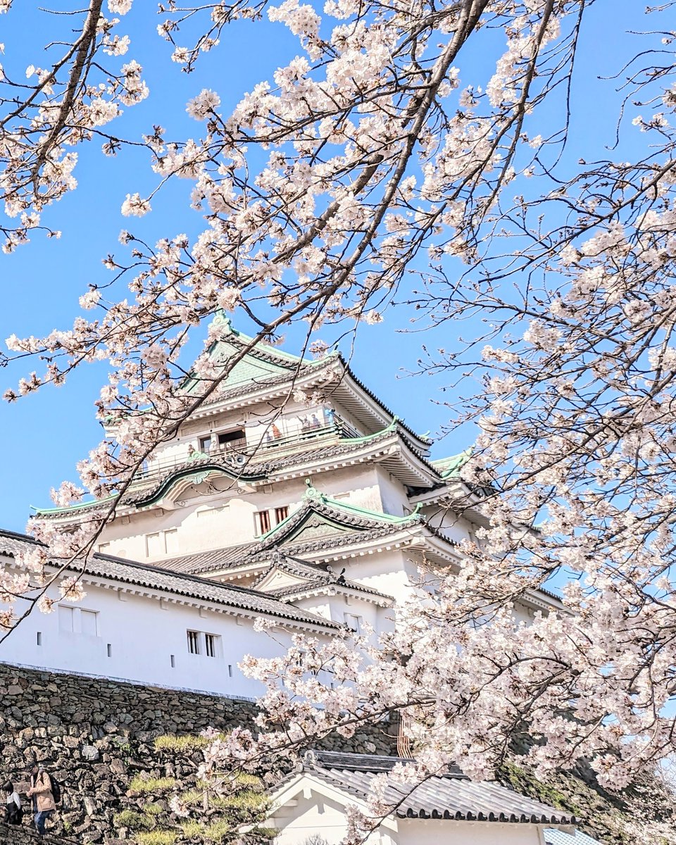 えり | 和歌山のホームページ制作やさん =Aster Work= tweet media