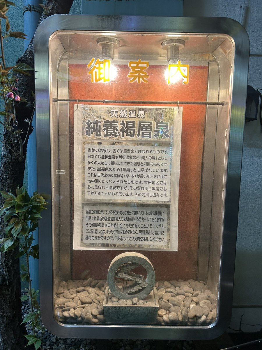 なんぼう tweet media