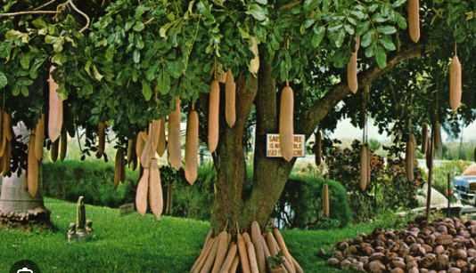 Jpbretts 5k🤖✪ tweet media