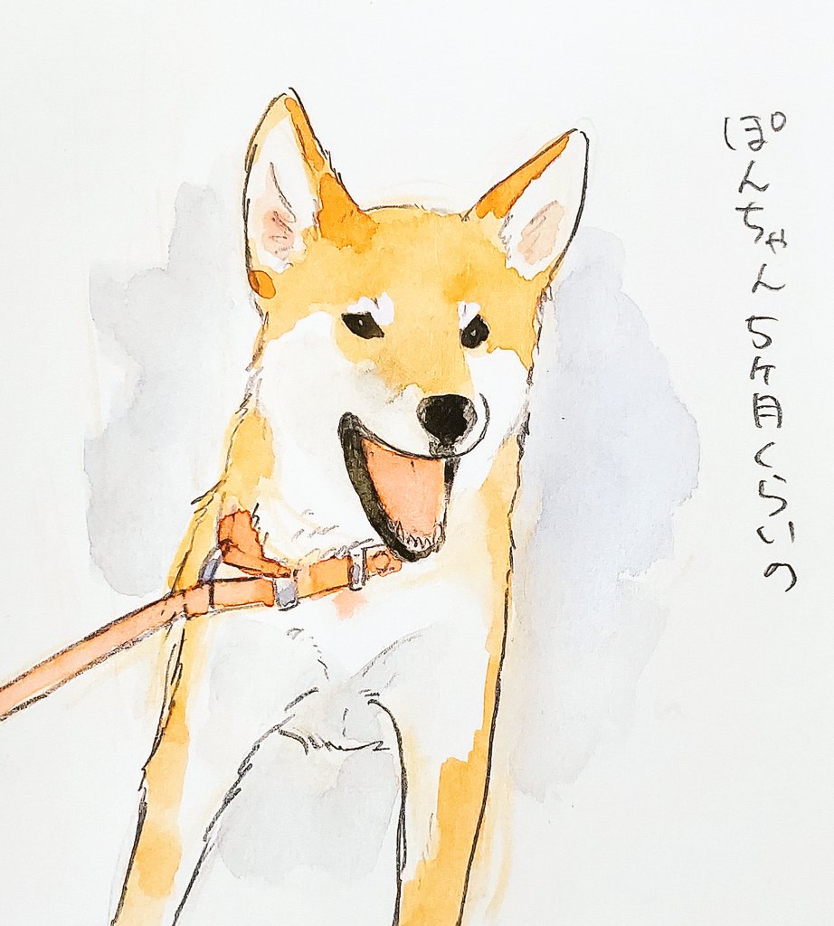Post by 犬山スケッチ on X: 若かりし頃