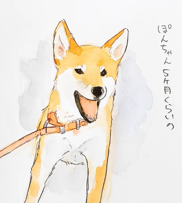 若かりし頃