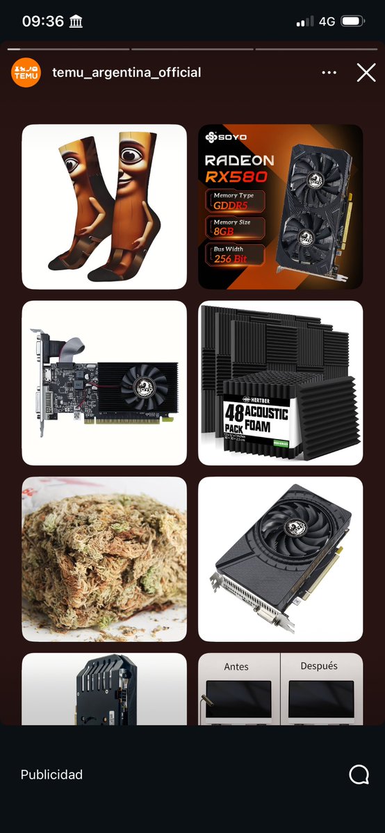 muerdo y lastimo tweet media