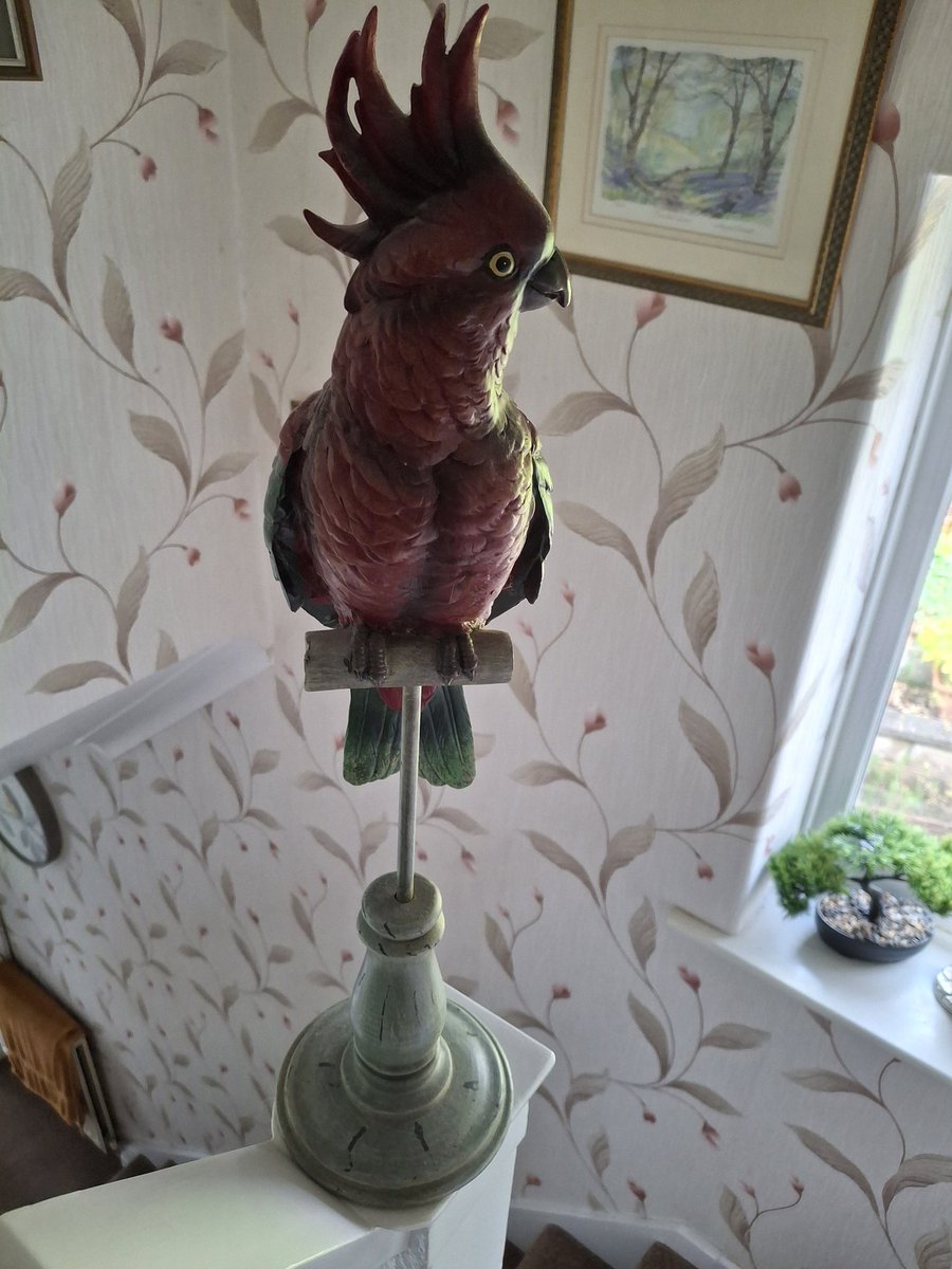 Qwerty17 tweet media