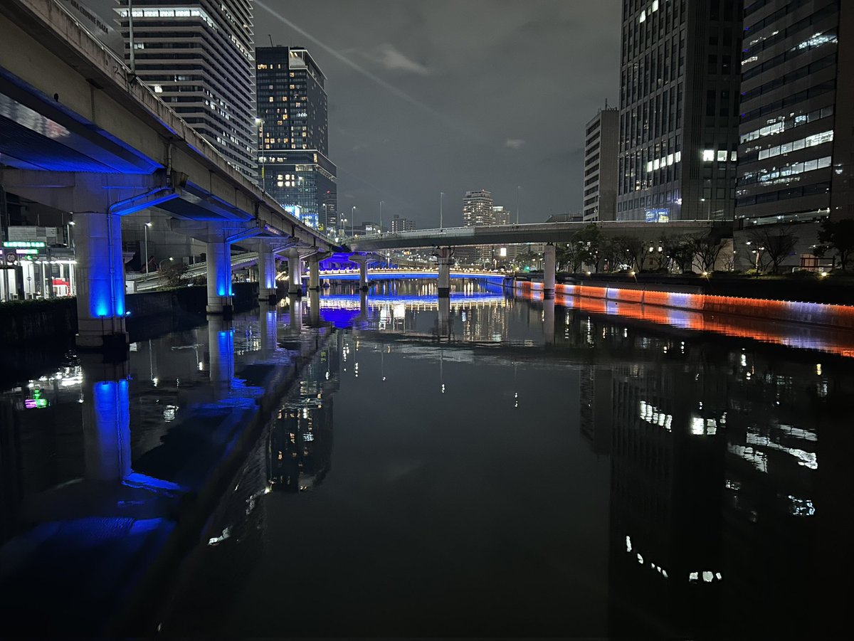 ここあ🐹 tweet media