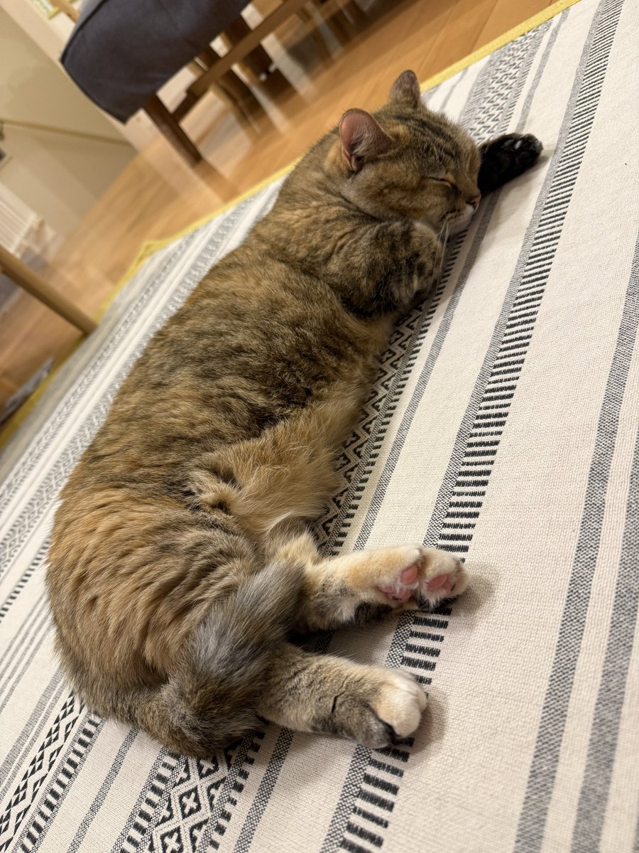 じゅんぬ🎣🐟 tweet media