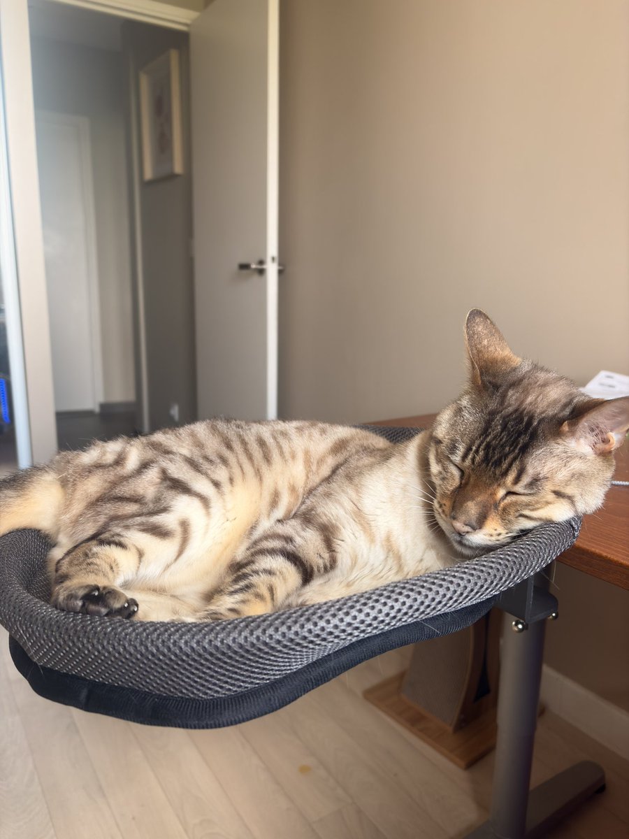 ស្នេហា tweet media