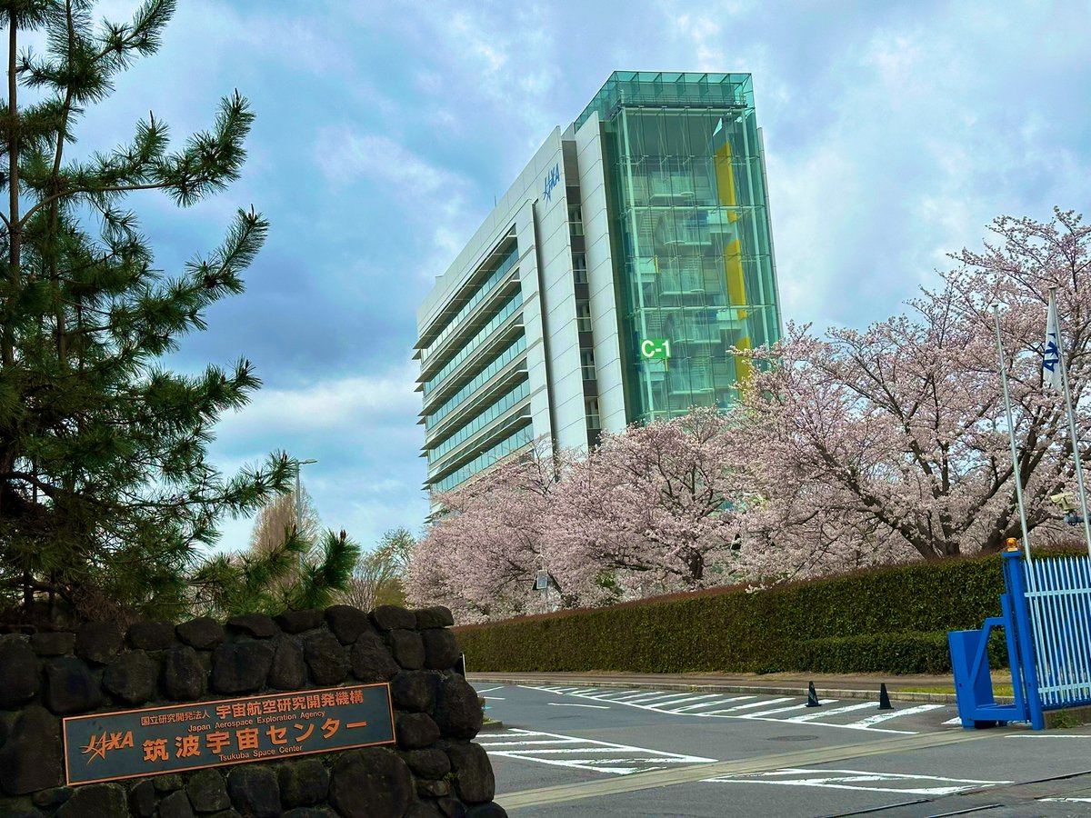 OKADA Shuhei / 岡田 修平 tweet media