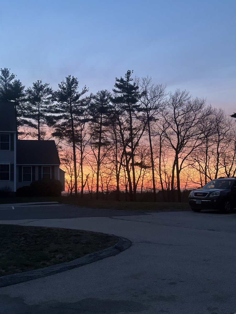 Scarlette Bartley (@featherssplit) on Twitter photo 