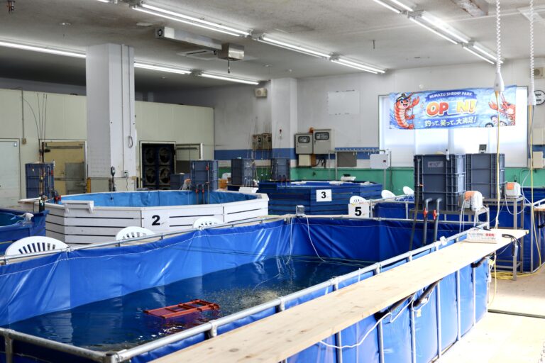 ぴんちょす🍙沼津暮らしブログ tweet media