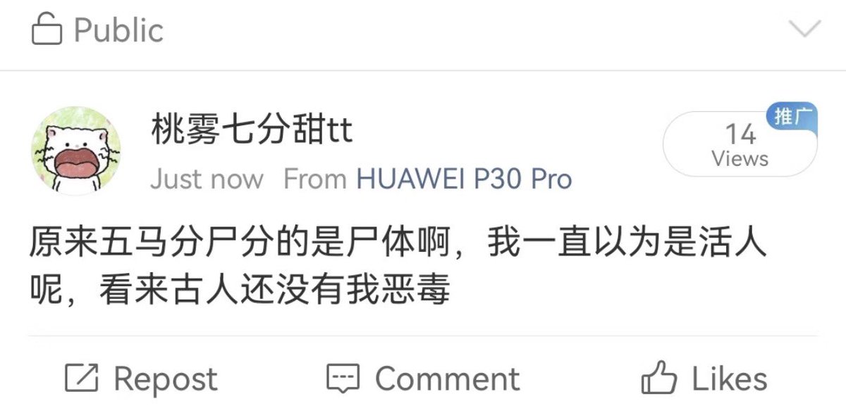 禿道道🐟 tweet media