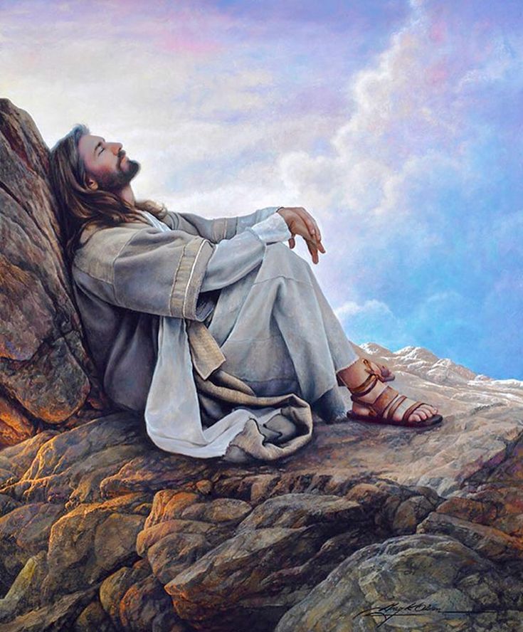 Andrés 💪🕊 🍁 tweet media