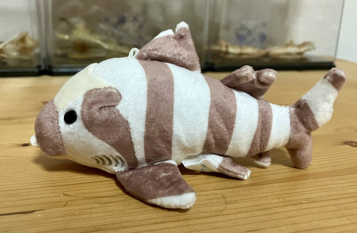 こずな tweet media