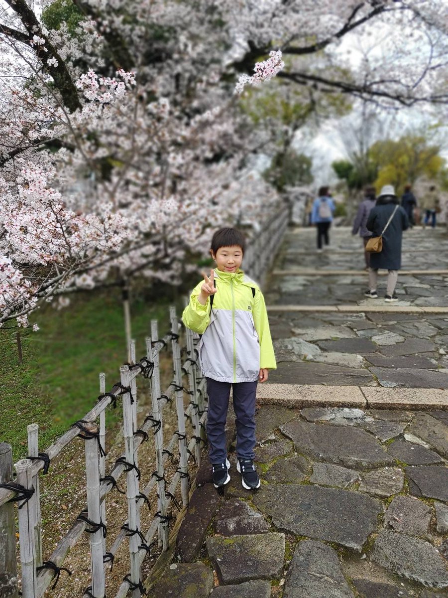 erio67's tweet photo. #姫路城の桜 水曜日の写真です📷
今日の姫路は雨☔
明日は晴れるみたいです〜
#桜 https://t.co/4yaanZIOo3