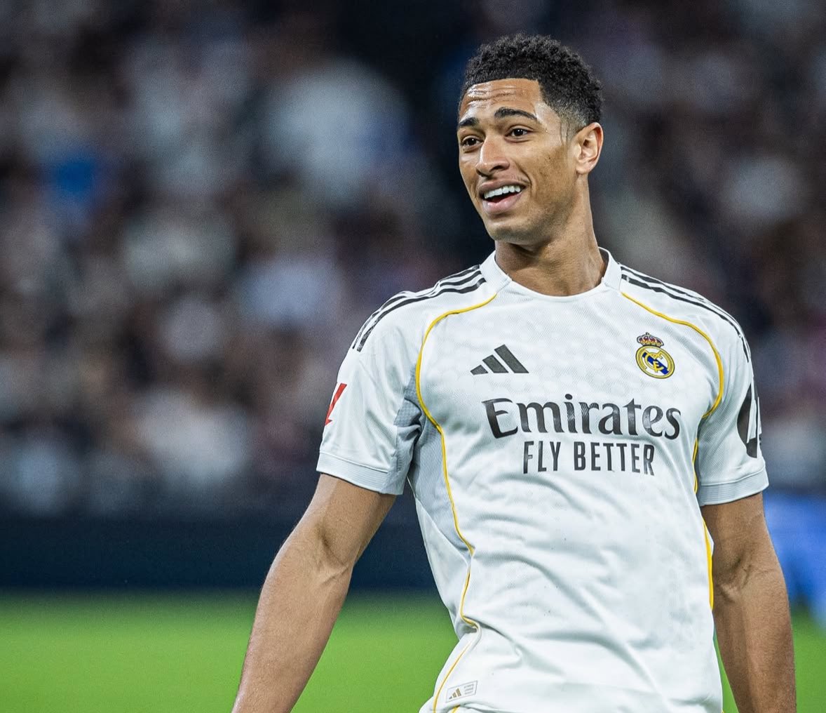 محمود tweet media