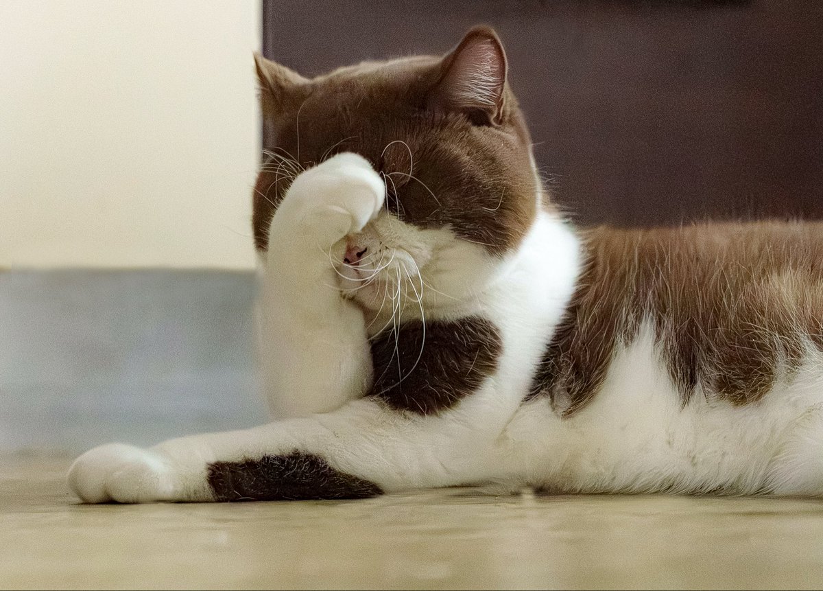 Jan Krčál tweet media