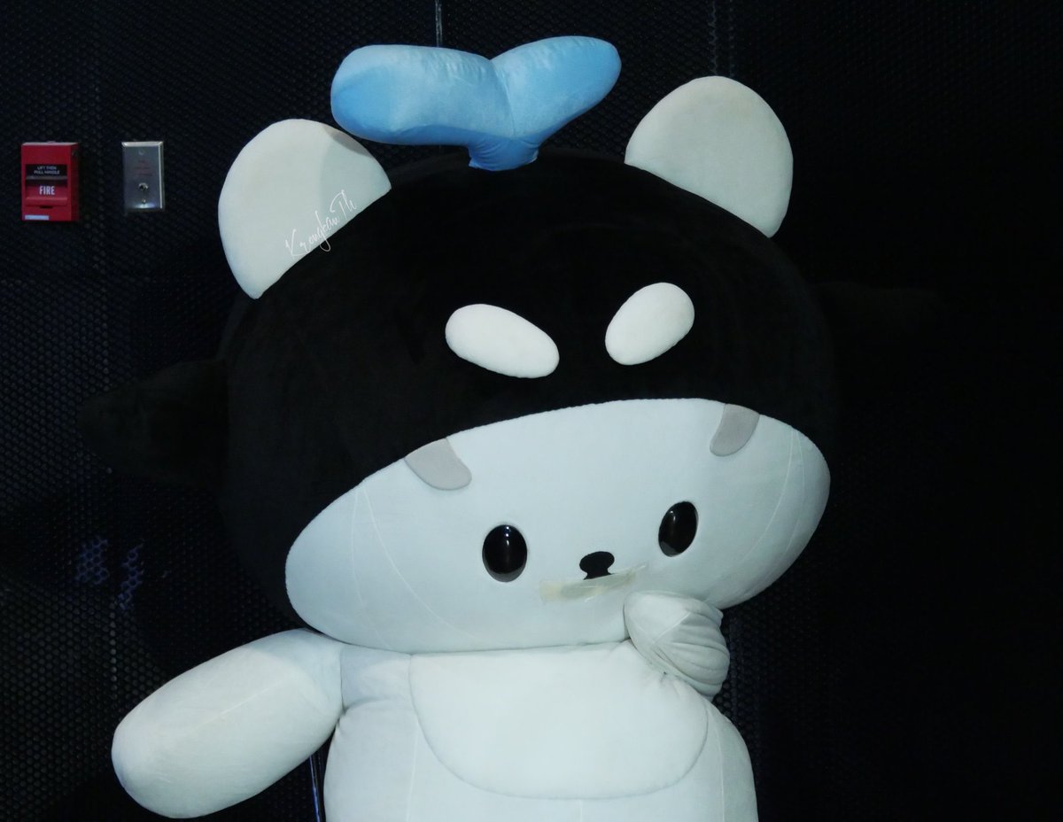 elmi🍒✨ tweet media