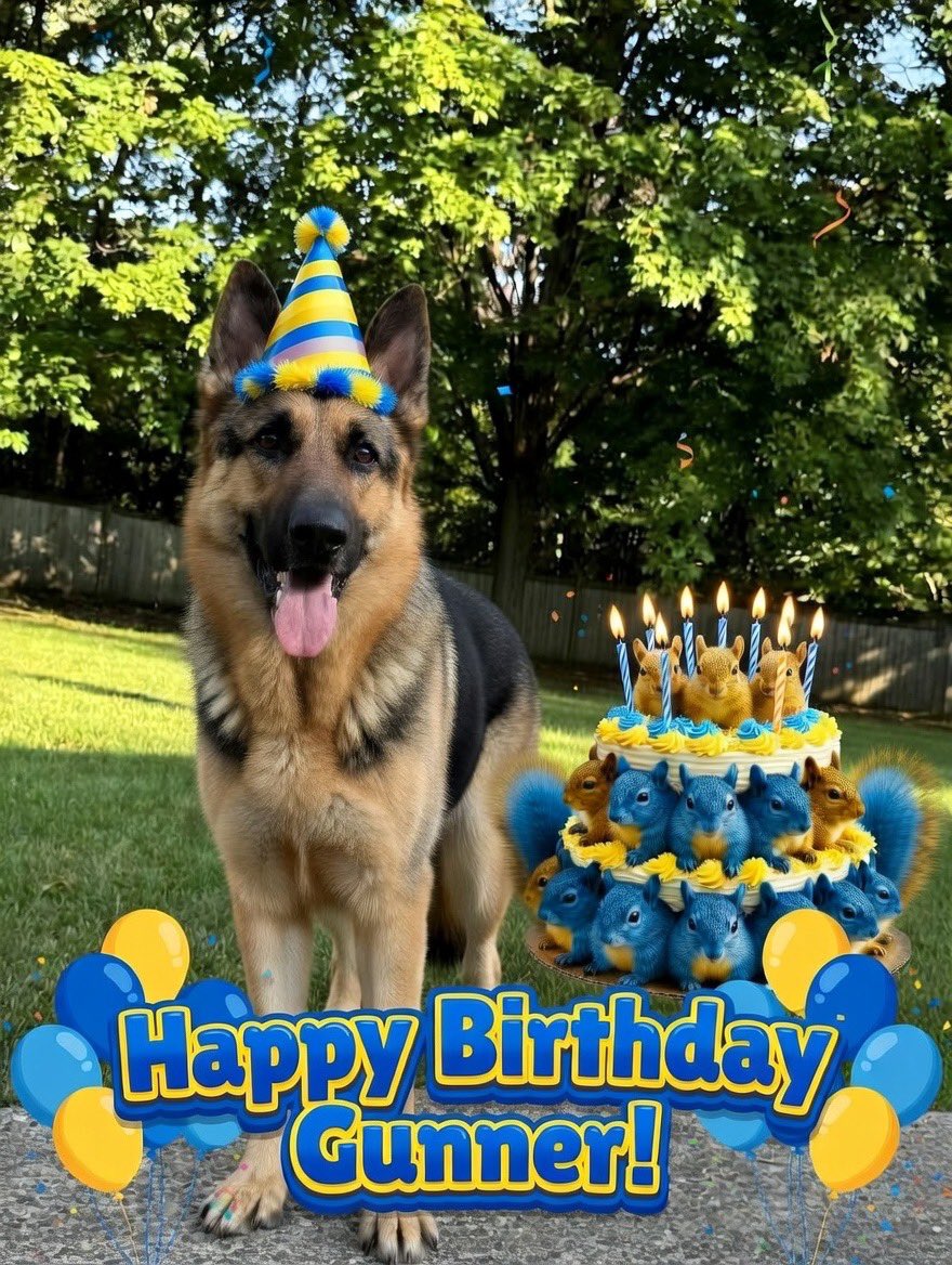 Rocky Stone tweet media