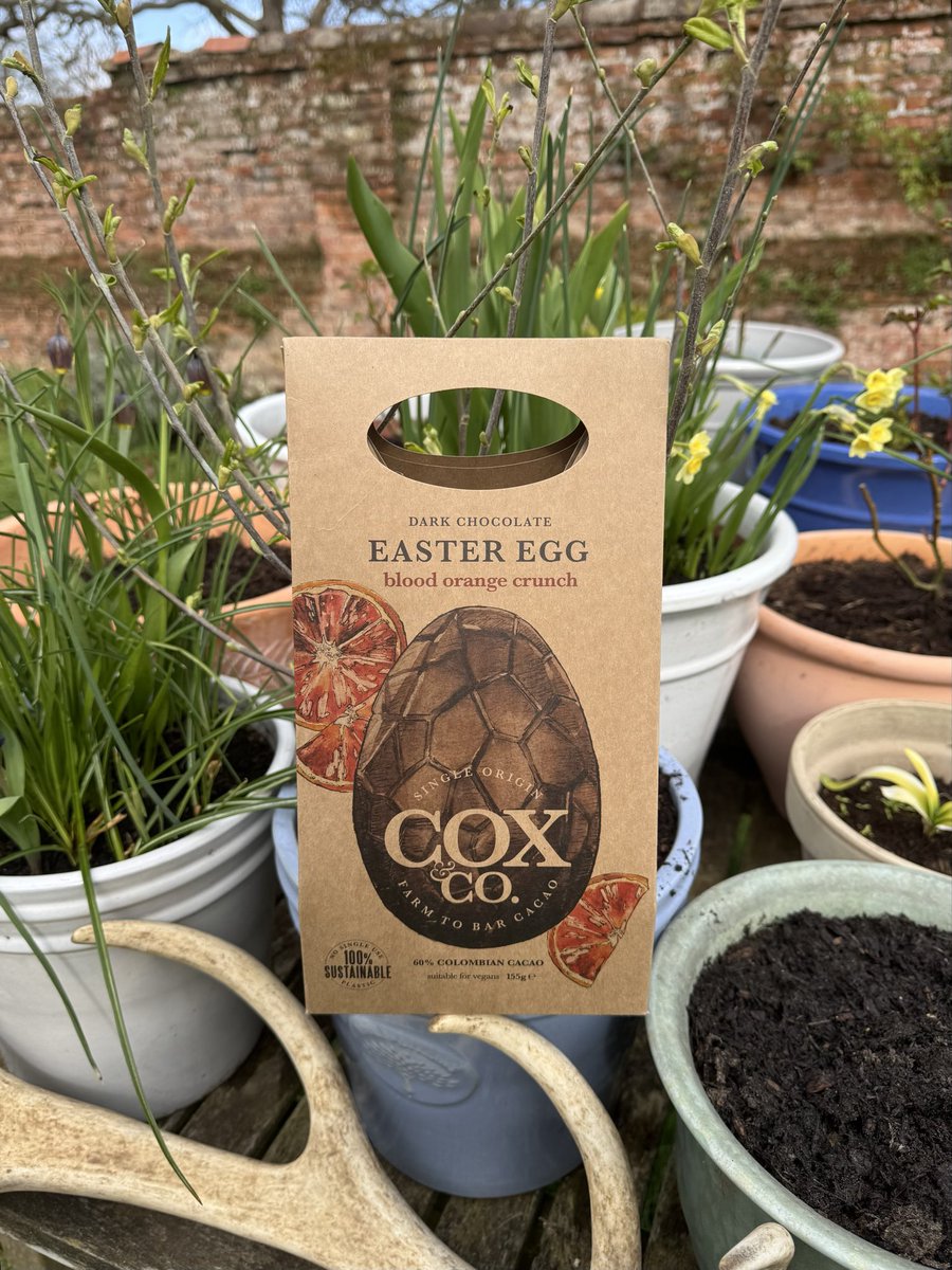 Dr Ally Louks tweet media