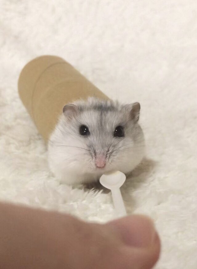 けぇこ🍆 tweet media