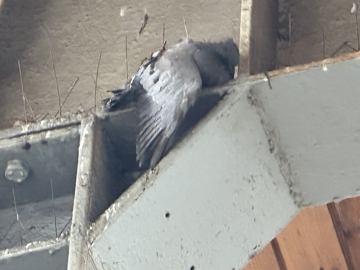 Dariusz Grochal tweet media