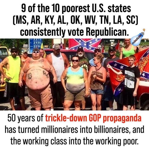 Mindcite💥 tweet media