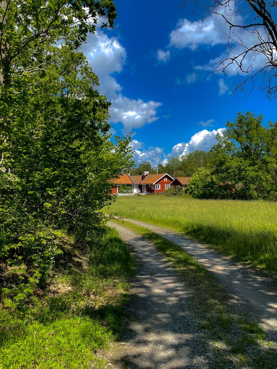 vistaaura tweet media