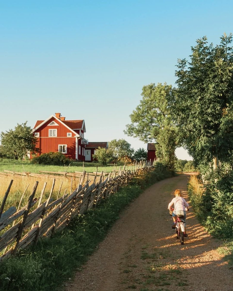 vistaaura tweet media