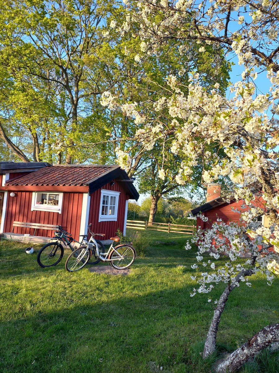 vistaaura tweet media