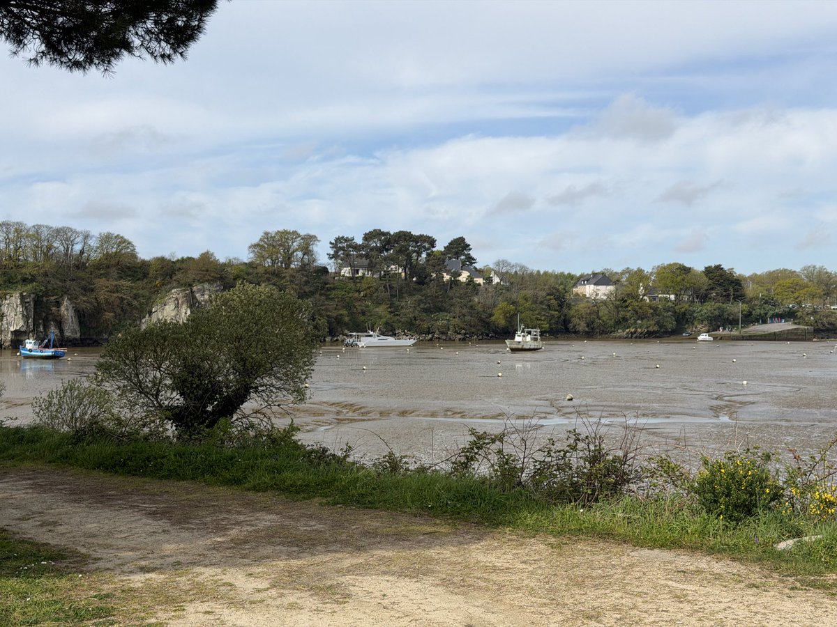 Bordelais en déplacement tweet media