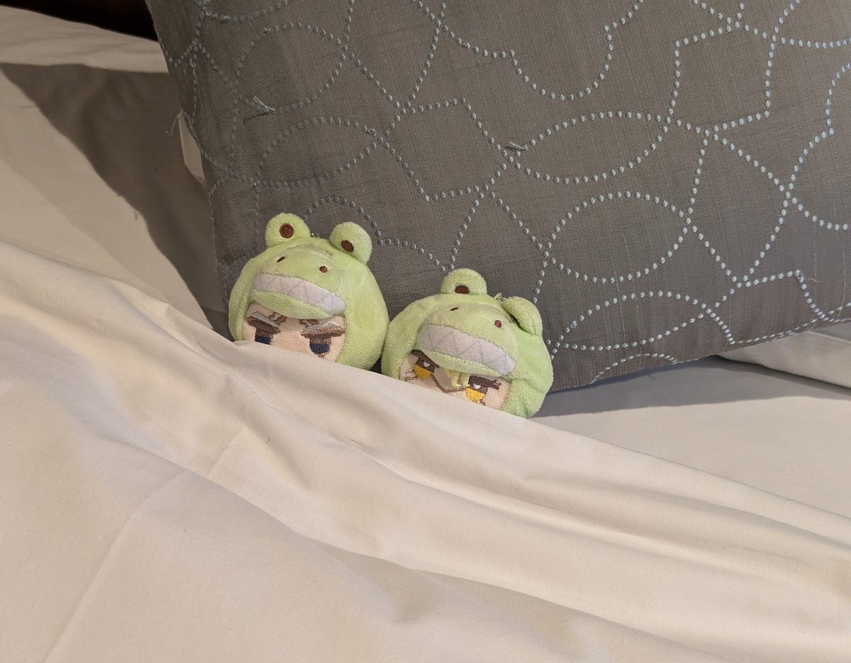 琥優-koyu- tweet media