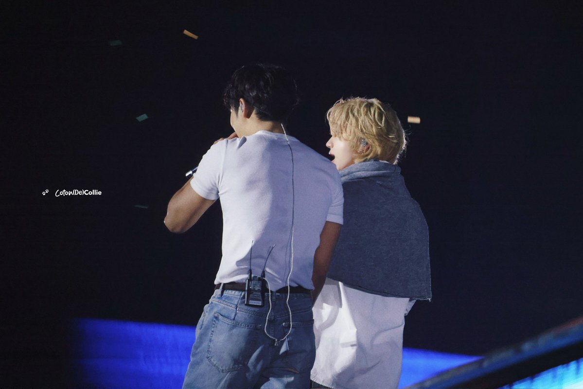 𝗖𝗼𝘁𝗼𝗻 𝑑𝑒 𝗖𝗼𝗹𝗹𝗶𝗲 tweet media